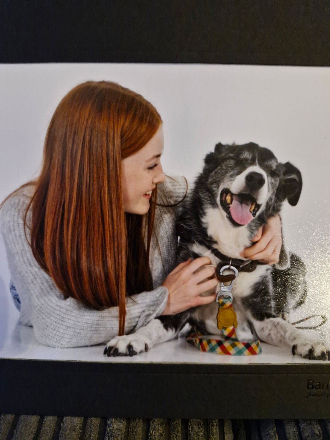Forever in Our Hearts: Finding Comfort After the Loss of a Beloved Pet